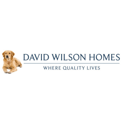 David wilson